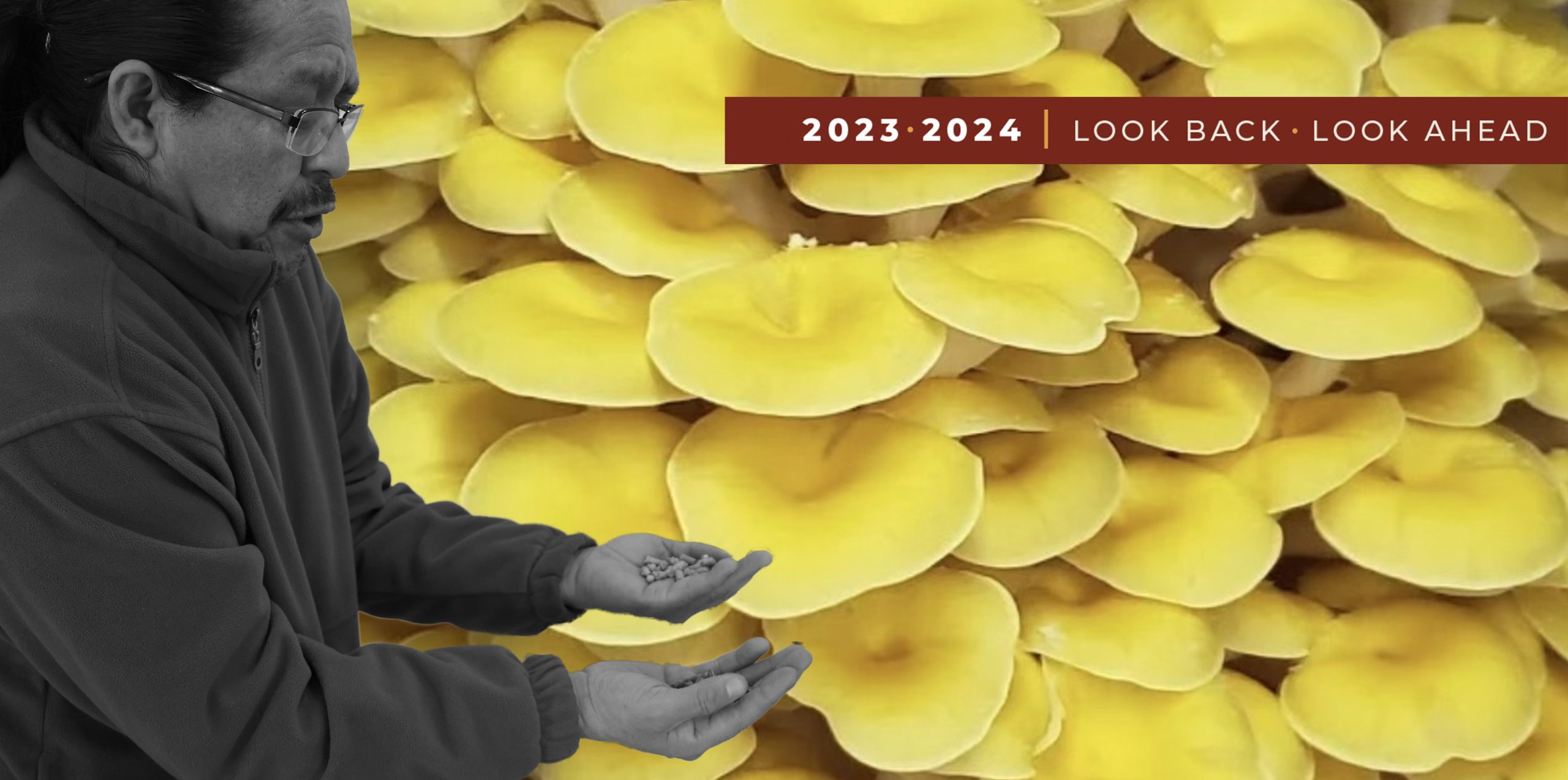 A new kind of mushroom farm emerges - Alamosa Citizen